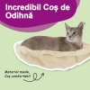 Cat_Tree_-_8888_-_Cream_-_Basket_-_RO-6 Ansamblu pisici cu stâlpi din funie de sisal, crem, 188 cm