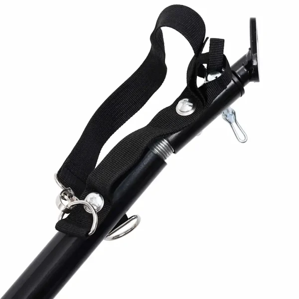 vidaXL Remorcă bicicletă & cărucior 2-în-1 animale, albastru și gri